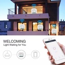 Controlador Dimmer Wifi 0 - 10v Tuya Smart